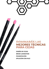 Certificación Internacional BROW ARTIST - GDL